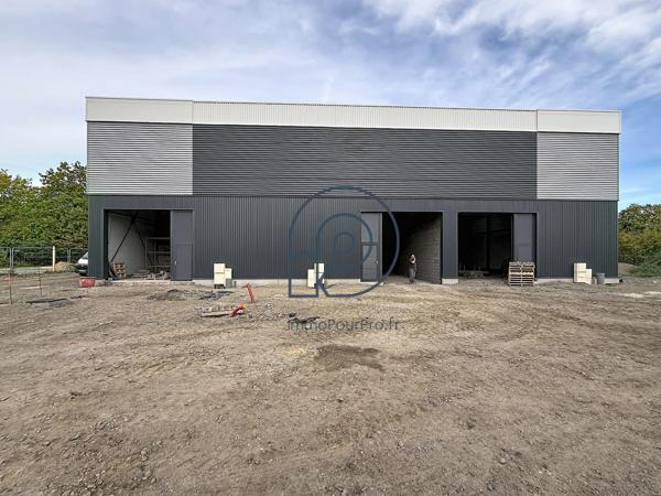 Wattrelos – La Lainière | Cellule neuve 353 m² à 1 000 € HT/m² | Baisse de prix | Disponible immédiatement