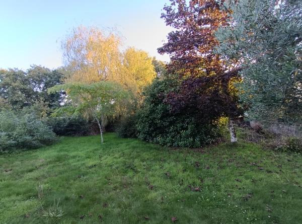 29530 Plonévez du Faou maison 4 chambres dont 1 de plain pied, sous sol 1500 m² de terrain