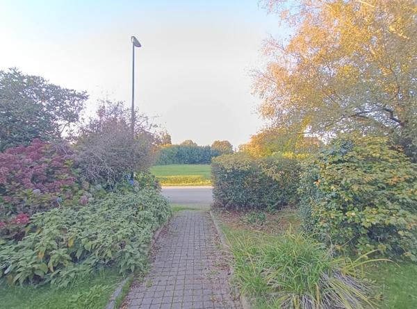 29530 Plonévez du Faou maison 4 chambres dont 1 de plain pied, sous sol 1500 m² de terrain