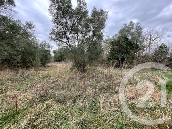 Terrain à vendre  410 m2 LUNEL VIEL - 34