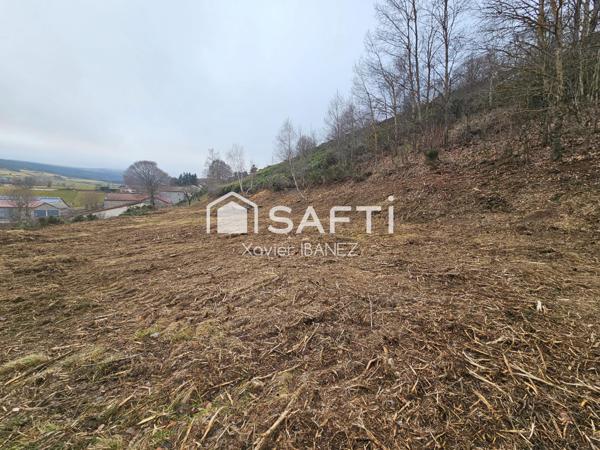 Terrain constructible 5246 m² Chanaleilles (43170)