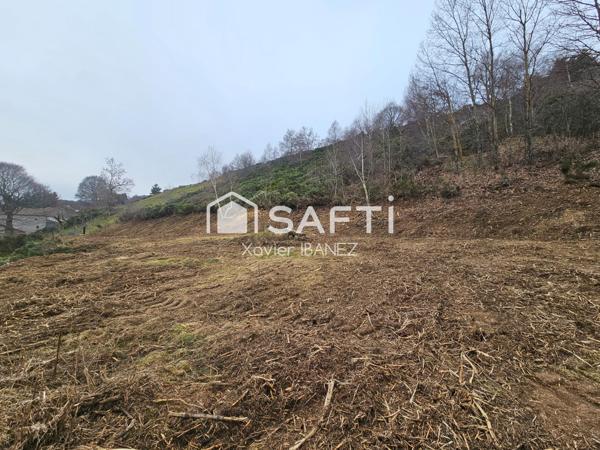 Terrain constructible 5246 m² Chanaleilles (43170)