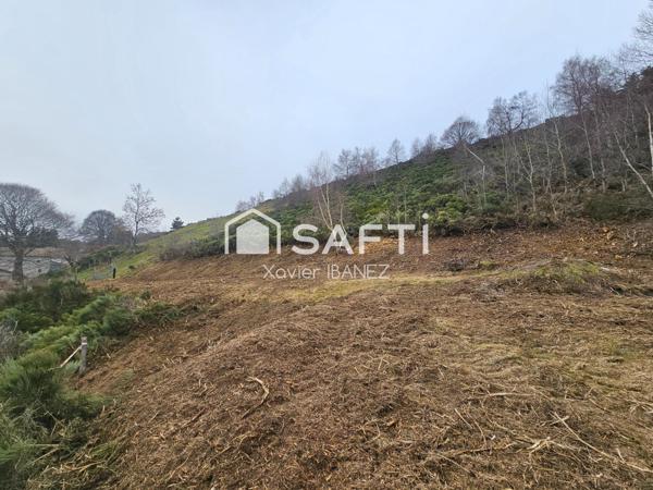 Terrain constructible 5246 m² Chanaleilles (43170)