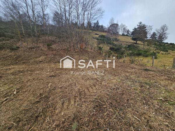 Terrain constructible 5246 m² Chanaleilles (43170)
