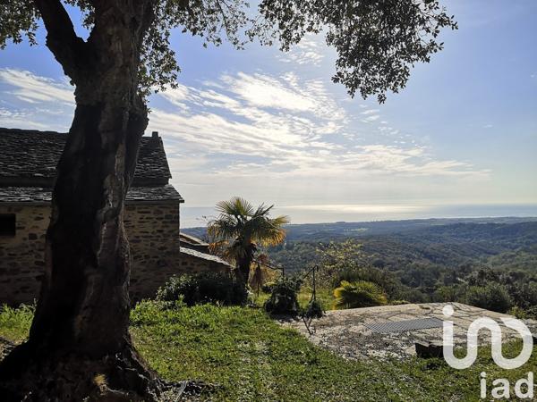 Maison à vendre 8 pièces 217 m² Cervione