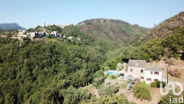 Maison à vendre 8 pièces 217 m² Cervione