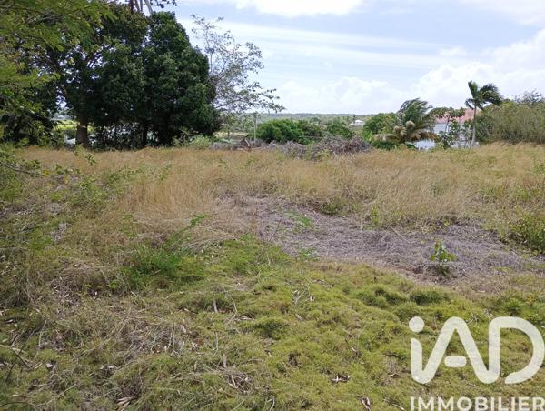 Terrain à vendre 903 m² Anse-Bertrand