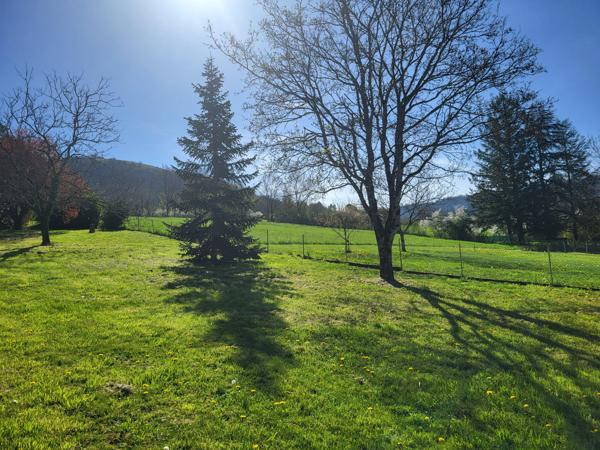 Vente / Maison et grand terrain