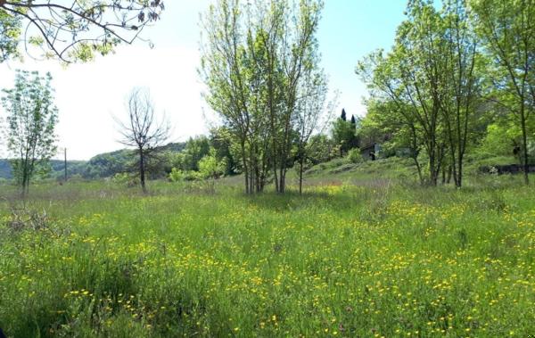 Vente Terrain Les vans   