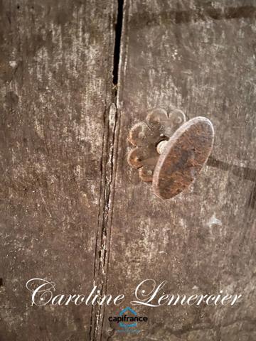 Maison à vendre AXE CONNERRE /LA FERTE BERNARD (72)Maison de Maitre 245 m² habitables, dépendances, piscine , terrain 1550 m²