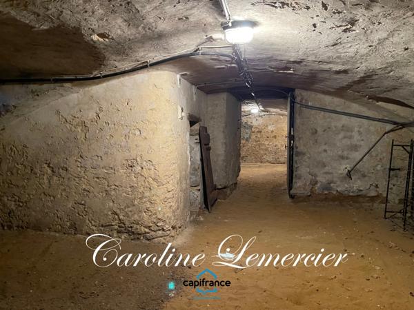 Maison à vendre AXE CONNERRE /LA FERTE BERNARD (72)Maison de Maitre 245 m² habitables, dépendances, piscine , terrain 1550 m²