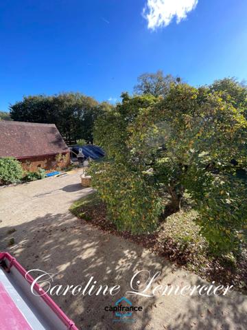 Maison à vendre AXE CONNERRE /LA FERTE BERNARD (72)Maison de Maitre 245 m² habitables, dépendances, piscine , terrain 1550 m²