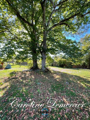 Maison à vendre AXE CONNERRE /LA FERTE BERNARD (72)Maison de Maitre 245 m² habitables, dépendances, piscine , terrain 1550 m²