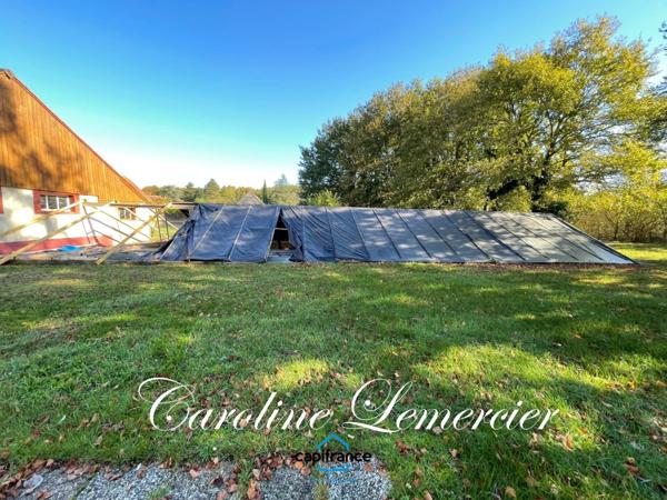 Maison à vendre AXE CONNERRE /LA FERTE BERNARD (72)Maison de Maitre 245 m² habitables, dépendances, piscine , terrain 1550 m²