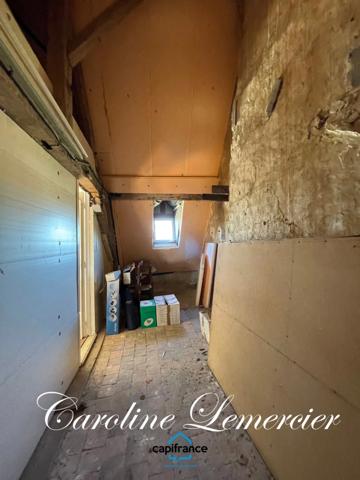 Maison à vendre AXE CONNERRE /LA FERTE BERNARD (72)Maison de Maitre 245 m² habitables, dépendances, piscine , terrain 1550 m²