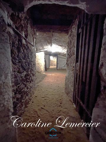 Maison à vendre AXE CONNERRE /LA FERTE BERNARD (72)Maison de Maitre 245 m² habitables, dépendances, piscine , terrain 1550 m²