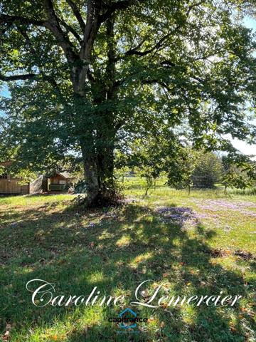 Maison à vendre AXE CONNERRE /LA FERTE BERNARD (72)Maison de Maitre 245 m² habitables, dépendances, piscine , terrain 1550 m²