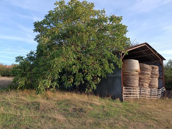 Terrain constructibles avec dépendances et parcelle agricole
