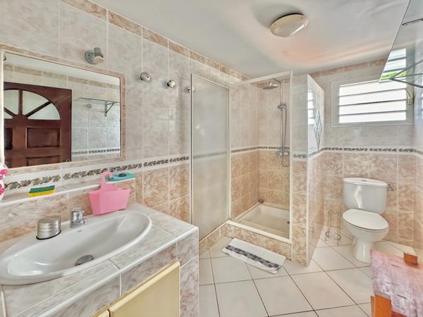 À vendre – Ensemble immobilier à La Rivière Saint-Louis (La Réunion)