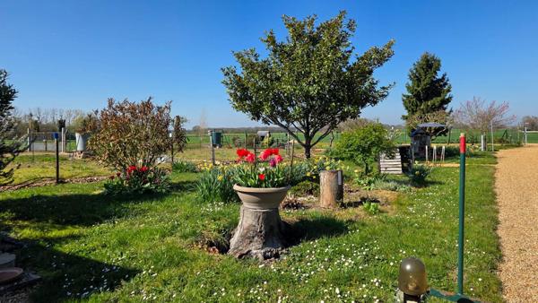 Jolie maison ancienne avec dépendances !