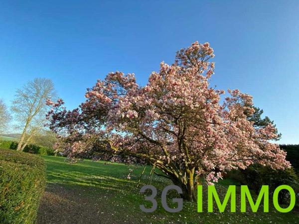 Vente / Maison bourgeoise