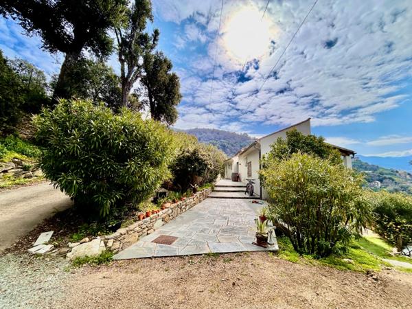 Villa d'exception à vendre 6 pièces POGGIO D'OLETTA, Haute Corse (20)