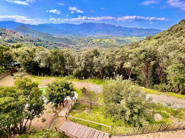 Villa d'exception à vendre 6 pièces POGGIO D'OLETTA, Haute Corse (20)