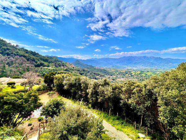 Villa d'exception à vendre 6 pièces POGGIO D'OLETTA, Haute Corse (20)