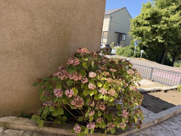 Maison à vendre 3 pièces SEREMANGE ERZANGE (57)