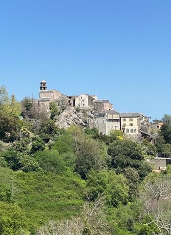 OPPORTUNITÉ RARE – TERRAIN CONSTRUCTIBLE AVEC PERMIS PURGÉ | PENTA-DI-CASINCA