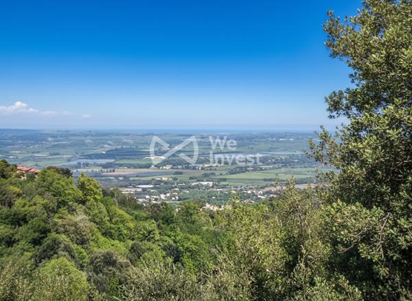 OPPORTUNITÉ RARE – TERRAIN CONSTRUCTIBLE AVEC PERMIS PURGÉ | PENTA-DI-CASINCA