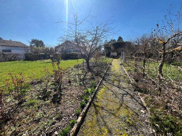 Vente / Maison et grand terrain