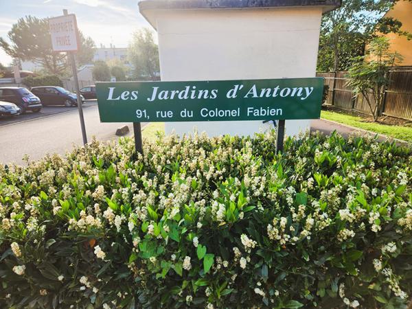 Appartement Antony 1 pièce(s) 24.78 m2