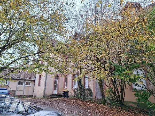 En exclusivité à vendre à MENETOU-SALON (CHER), un immeuble de rapport composé d'un local comme...