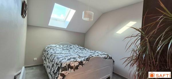 Maison d'architecte - 5 à 6 chambres - Parc avec bois