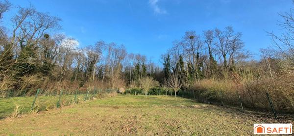 Maison d'architecte - 5 à 6 chambres - Parc avec bois