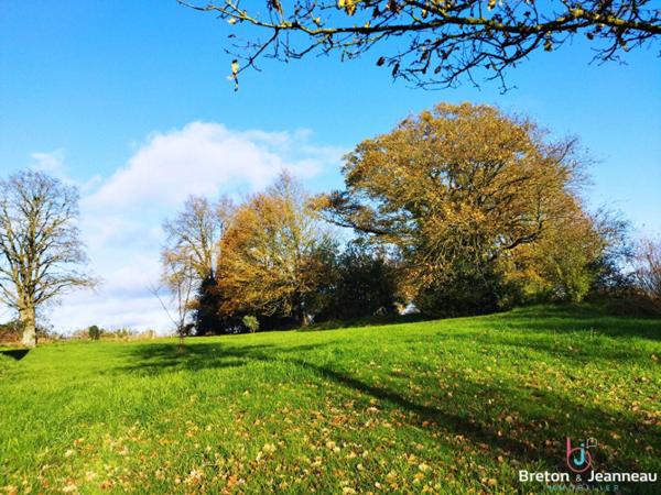 Corps de ferme en campagne secteur Mayenne