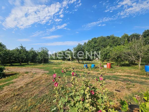 En exclusivité  DURTAL - Ancienne fermette de plain-pied avec dépendances à rénover sur un  terrain d'environ 9700m²