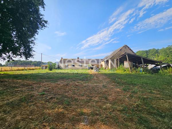 En exclusivité  DURTAL - Ancienne fermette de plain-pied avec dépendances à rénover sur un  terrain d'environ 9700m²