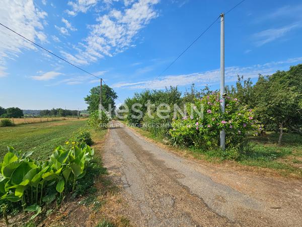 En exclusivité  DURTAL - Ancienne fermette de plain-pied avec dépendances à rénover sur un  terrain d'environ 9700m²