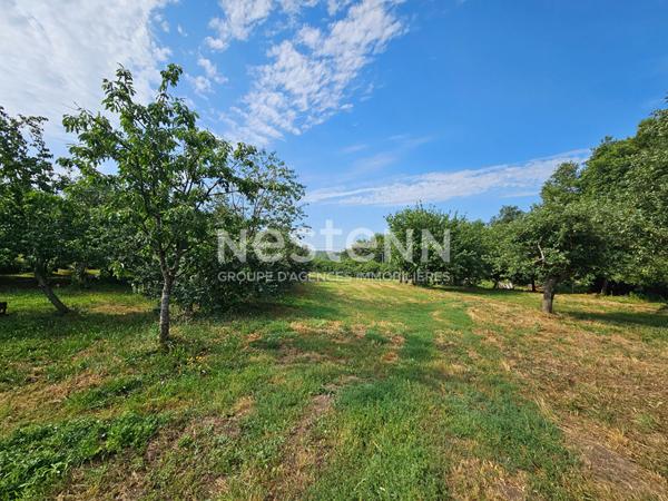 En exclusivité  DURTAL - Ancienne fermette de plain-pied avec dépendances à rénover sur un  terrain d'environ 9700m²