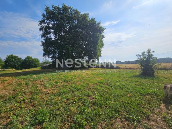 En exclusivité  DURTAL - Ancienne fermette de plain-pied avec dépendances à rénover sur un  terrain d'environ 9700m²