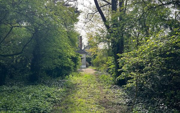 Maison à louer    6 pièces • 171 m2 Sucy-en-Brie