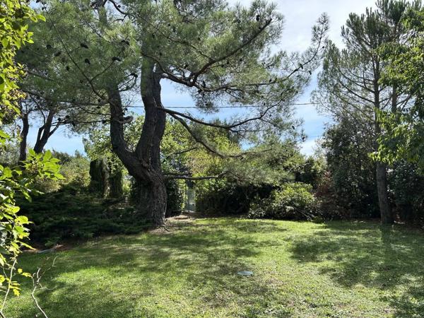 A 5 minutes du golf de Pont Royal ,Maison de charme à Vernègues avec piscine et jardin