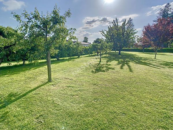 Terrain à vendre sur la commune de Morannes-sur-Sarthe