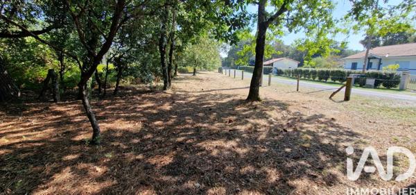 Maison à vendre 4 pièces 101 m² Biscarrosse