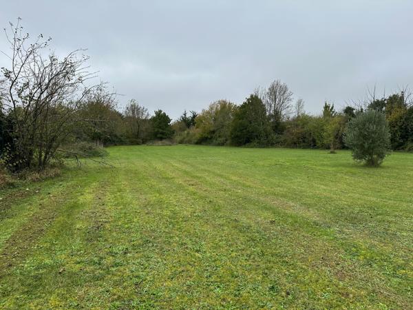 Maison spacieuse avec annexe, garages, parc et piscine Néré (17510)