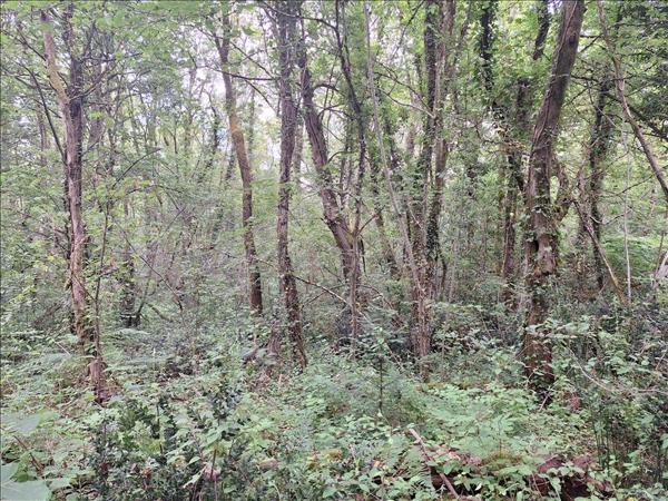 Terrain à vendre |  Asprières |  13928 m²