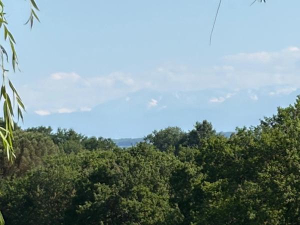PLAISANCE DU GERS(32) sur les coteaux, PROPRIETE D ARCHITECTE 1965 sur 2HA, Dépendances, un peu cachée , VUE Pyrénées et bois, sans vis à vis, CALME,