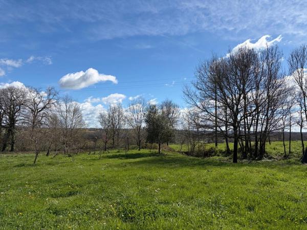 PLAISANCE DU GERS(32) sur les coteaux, PROPRIETE D ARCHITECTE 1965 sur 2HA, Dépendances, un peu cachée , VUE Pyrénées et bois, sans vis à vis, CALME,